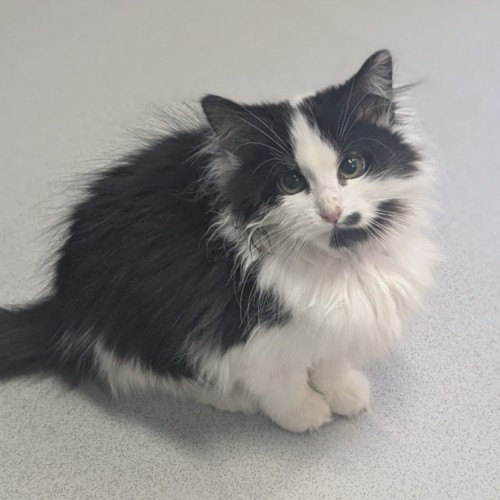 🌾 Weetbix 5823 🌾