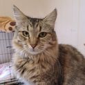 Photo of Bunny
