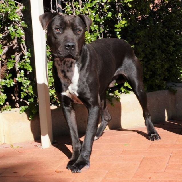 Photo of Reggie