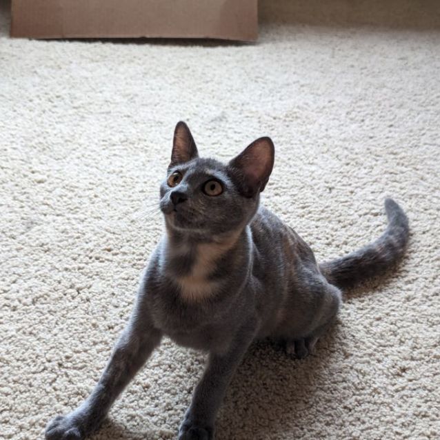 Photo of Agnes