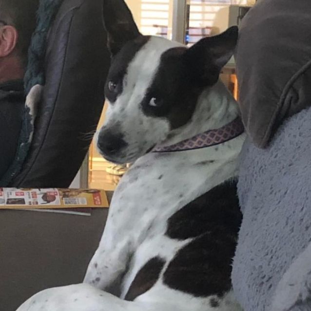 Photo of Narla Dl2905