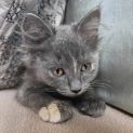 Photo of Myra