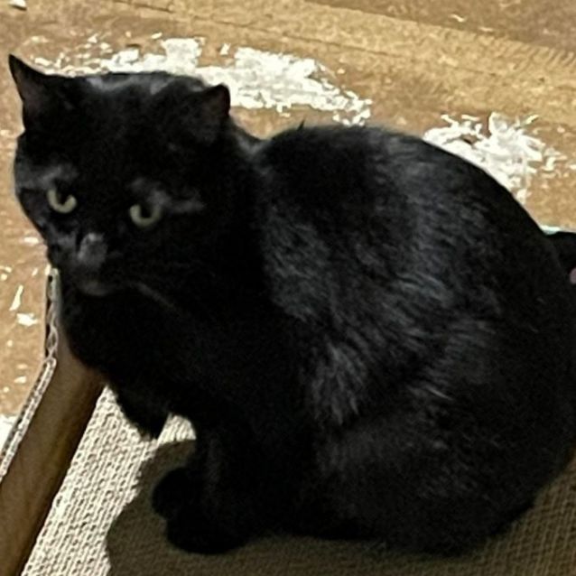 Photo of Sabrina