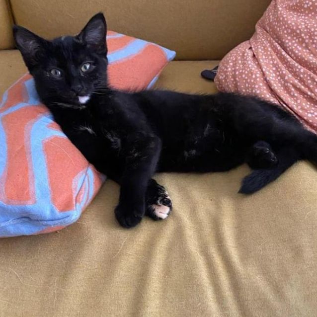 Photo of Sooty
