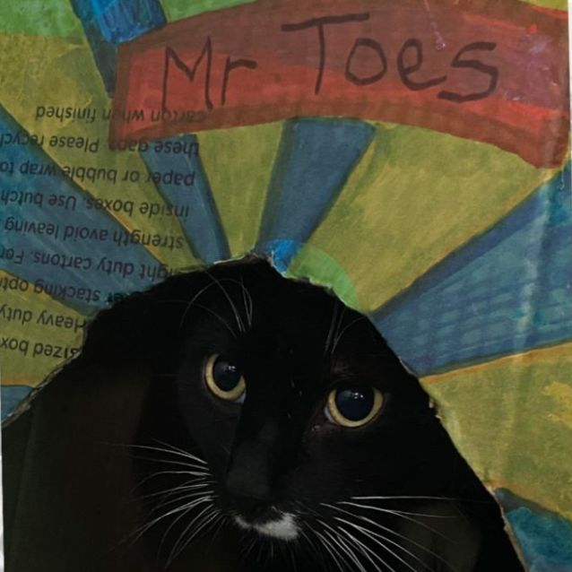 Photo of Mr.Toes
