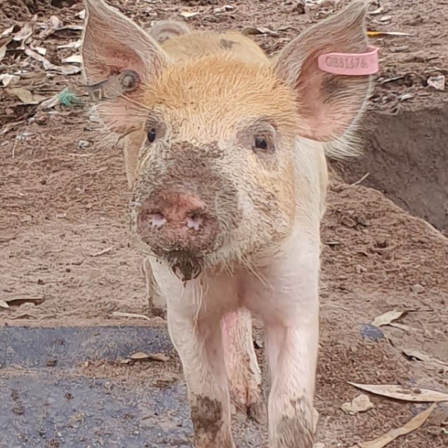 Photo of Arthur And Douglas