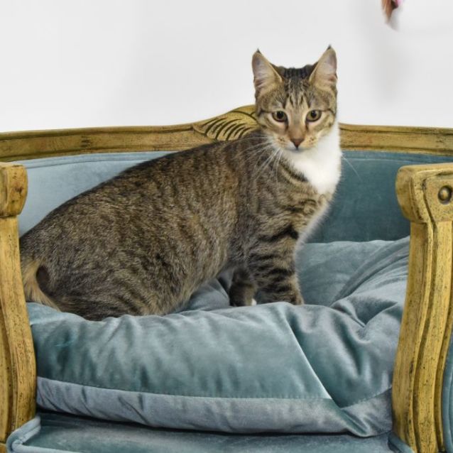 Photo of Mitzi
