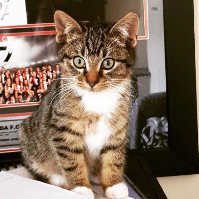 Photo of Perry 💙