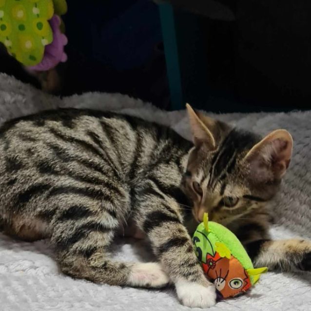 Photo of Minnie