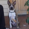 Photo of Walter