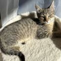 Photo of Esme