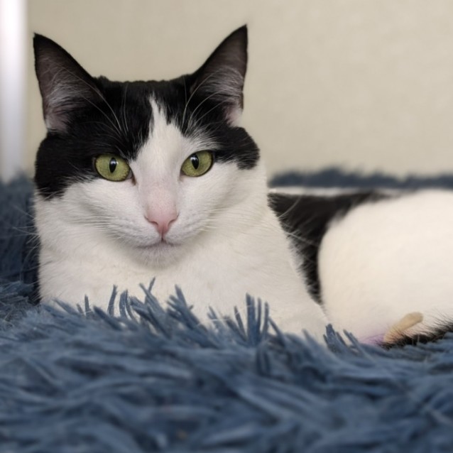 Photo of ✨ Atlas 5090 ✨