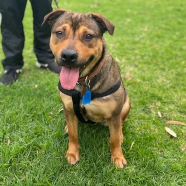 Photo of Misty Dl2676