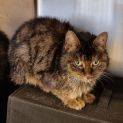 Photo of Hazel