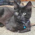 Photo of Giovanni