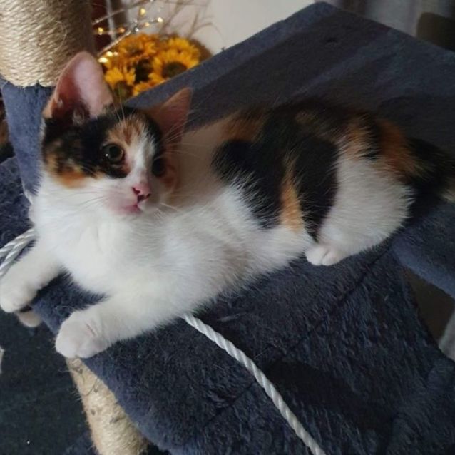 Photo of Sabrina