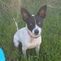 Photo of Macoy