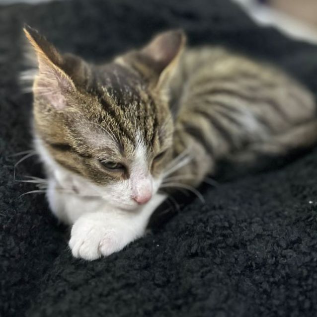 Photo of Quincy