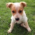 Photo of Cypher