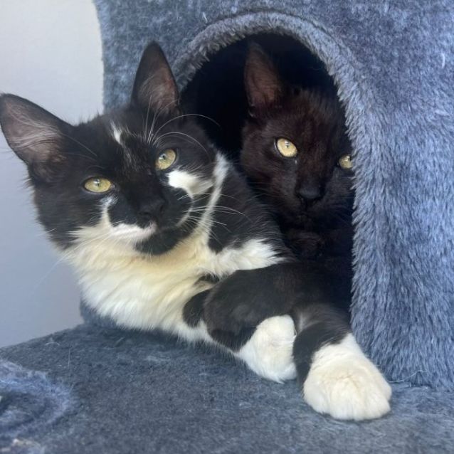 Photo of Spice & Sugar