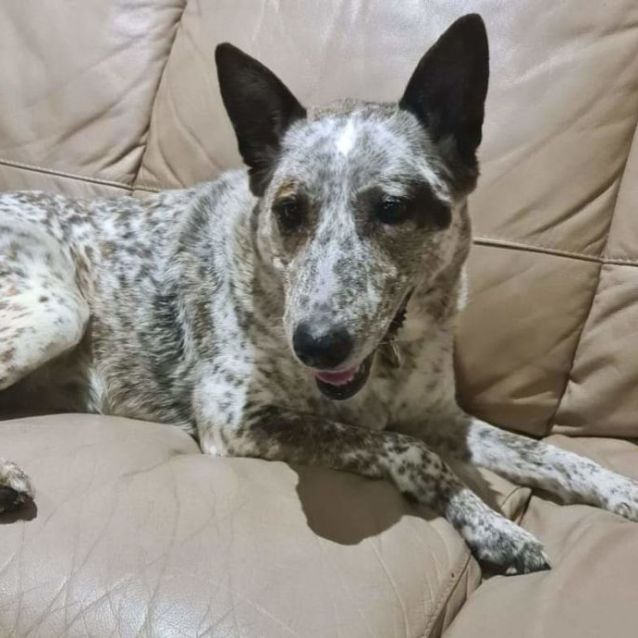 Photo of Jessie's Girl