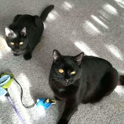 Tom Jones and Tabitha ❤❤