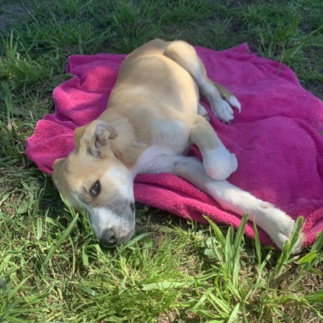 Photo of Miss Marley 