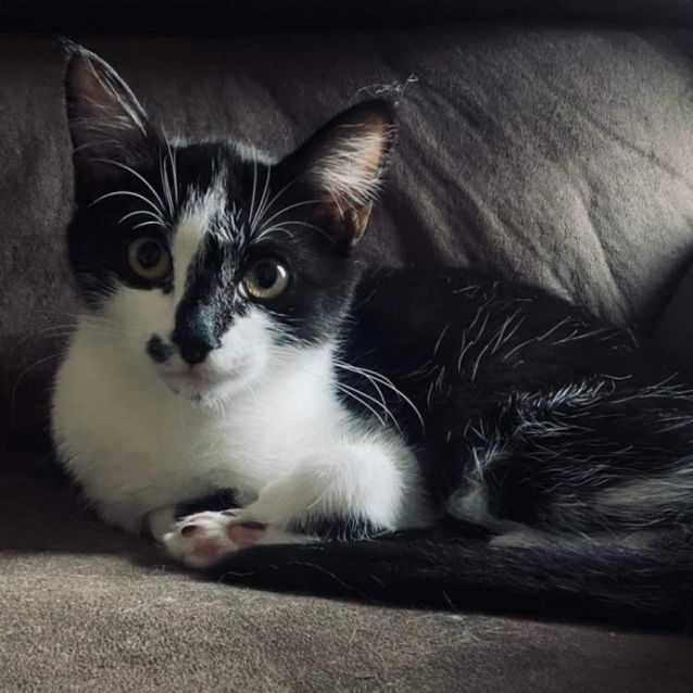 Photo of Lulu