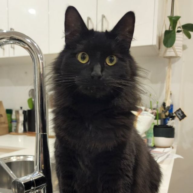 Photo of Wednesday 🖤