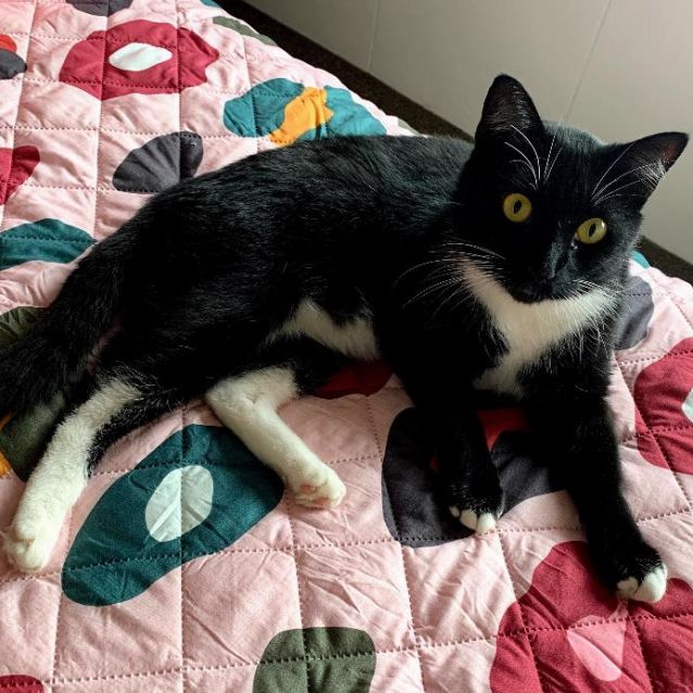 Photo of Hubert