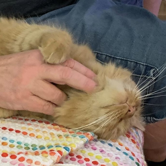 Photo of Barbra Stray Sand