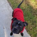 Photo of Zuno