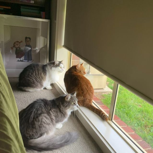 Photo of Jessie 🌹