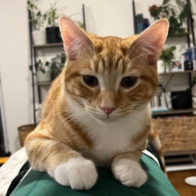 Photo of Oj And Ruben