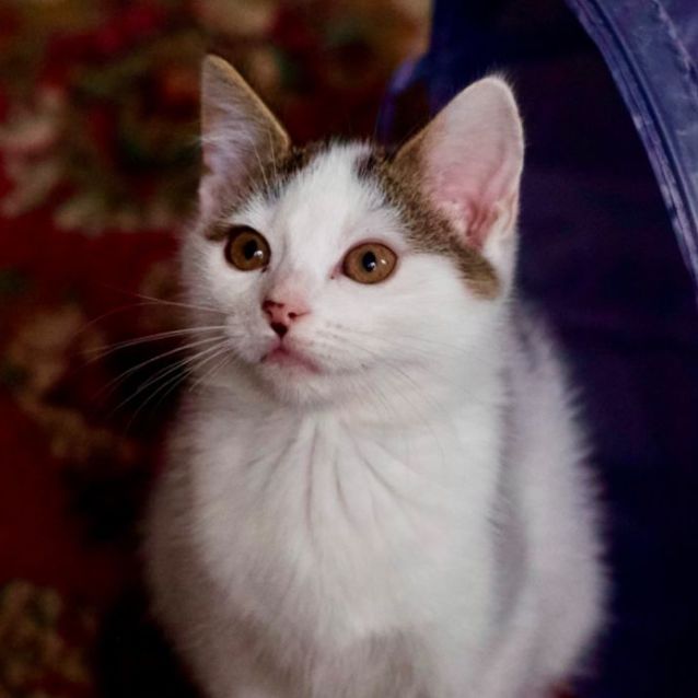 Photo of 💖 Eve 💖