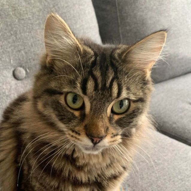 Photo of Halia   Located In Armadale 