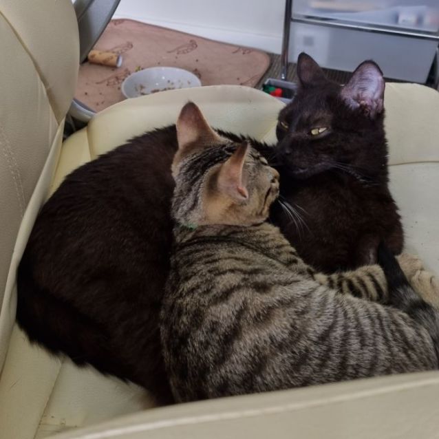 Photo of Coco (Located In Brunswick West)