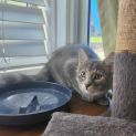 Photo of Cindy