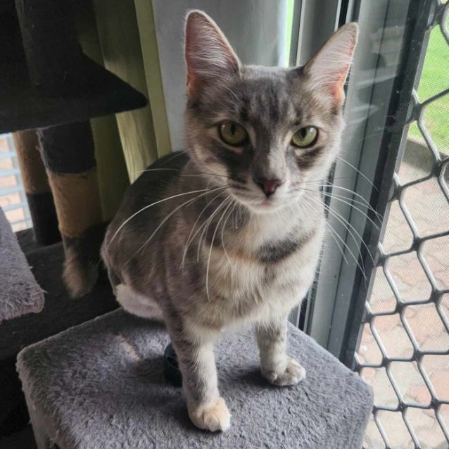Photo of Pepper