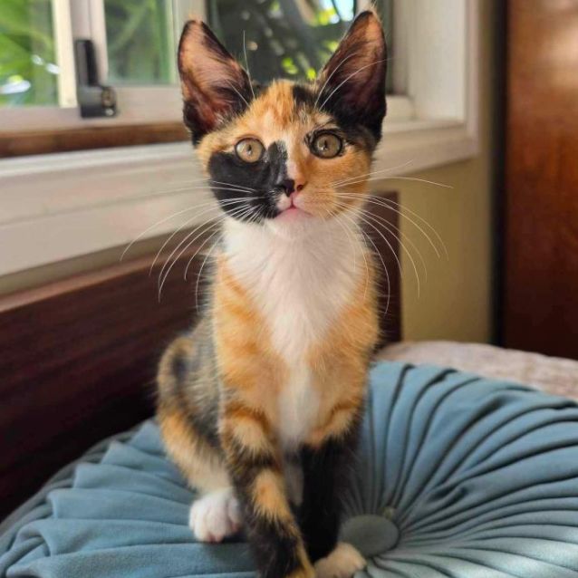 Photo of 🤍 Dot 🤍