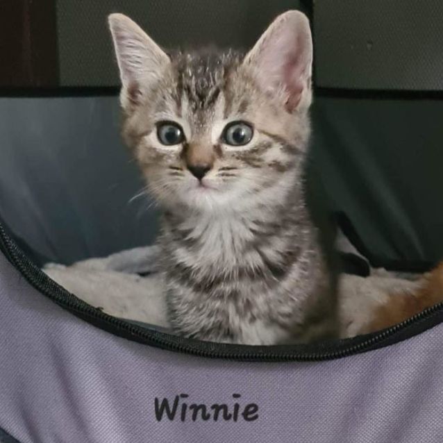 Photo of Winnie
