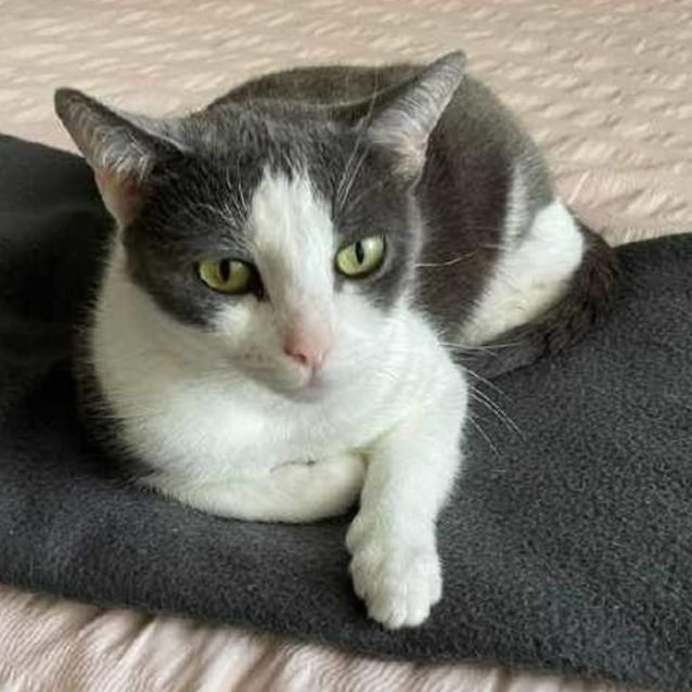Photo of Octavia