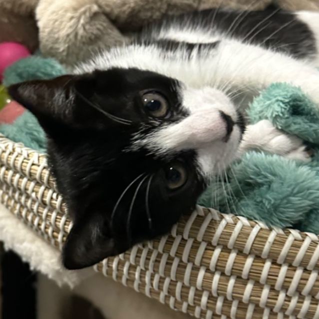 Photo of Hunter 🧵