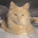 Photo of Quinn