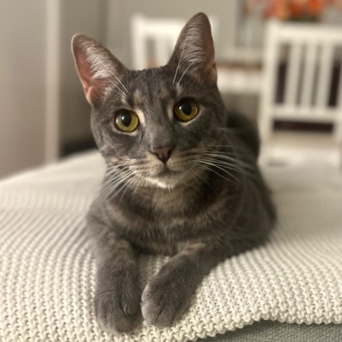 No photo for Sally 