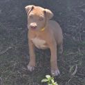 Photo of Major