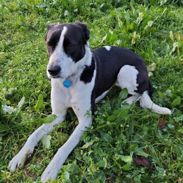 Photo of Bonnie 