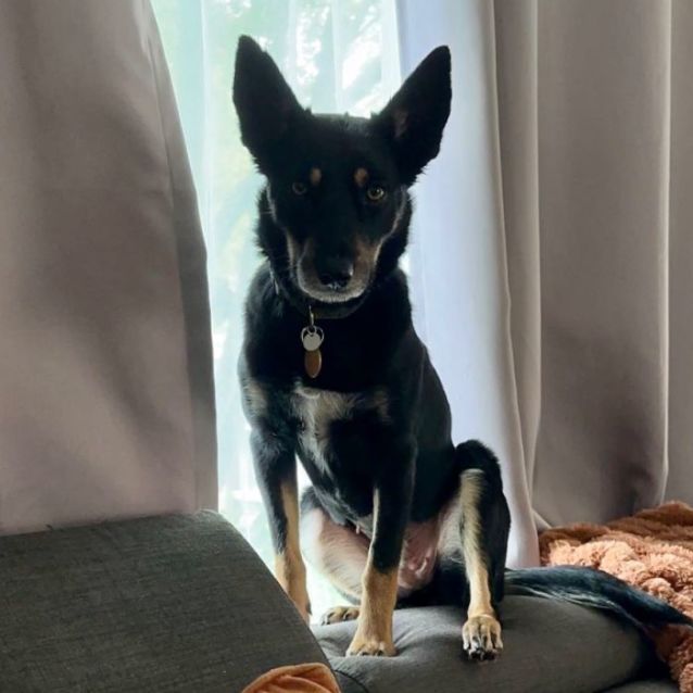 Photo of Velma