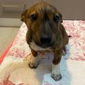 Photo of Sally