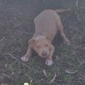 Photo of Major